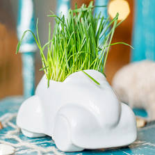 Экочеловеки Набор для выращивания eco Машина