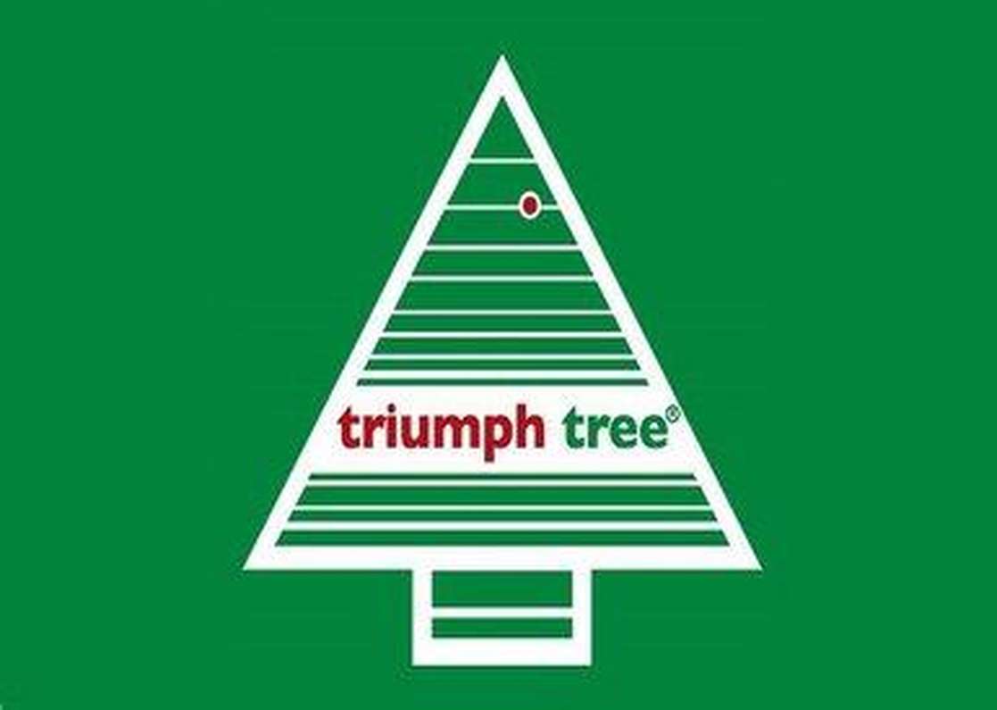 Елки и рождественские венки Triumph Tree в продаже!