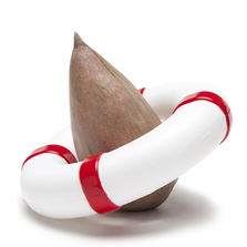 Peleg design Проращиватель для авокадо seed guard