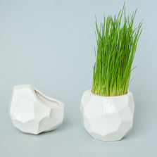 Экочеловеки Набор для выращивания eco кашпо магнит "Метеорит"