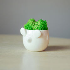 Экочеловеки Набор для выращивания eco мини-кашпо «Мышка»