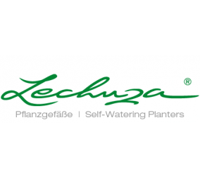 Lechuza